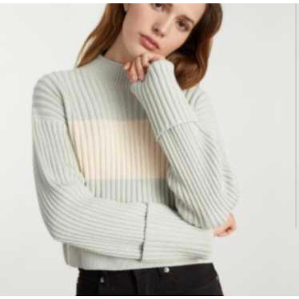 Everlane Organic Cotton Rollneck Ribbed Color-block Sweater Size Medium - Picture 3 of 10